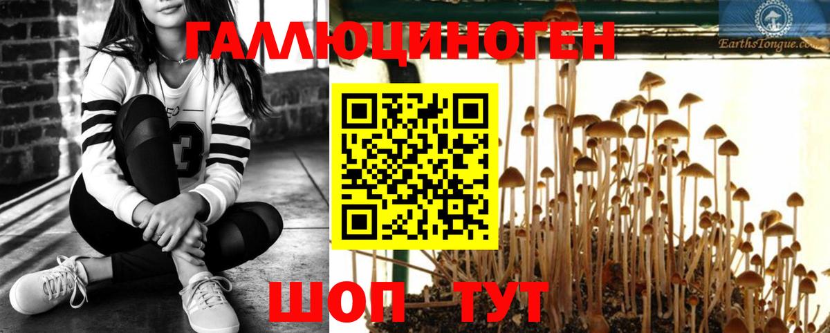 Галлюциногенные грибы ЛСД  Вход с VPN  Оренбург 